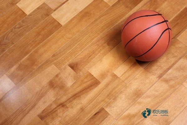 篮球场馆木地板排名2